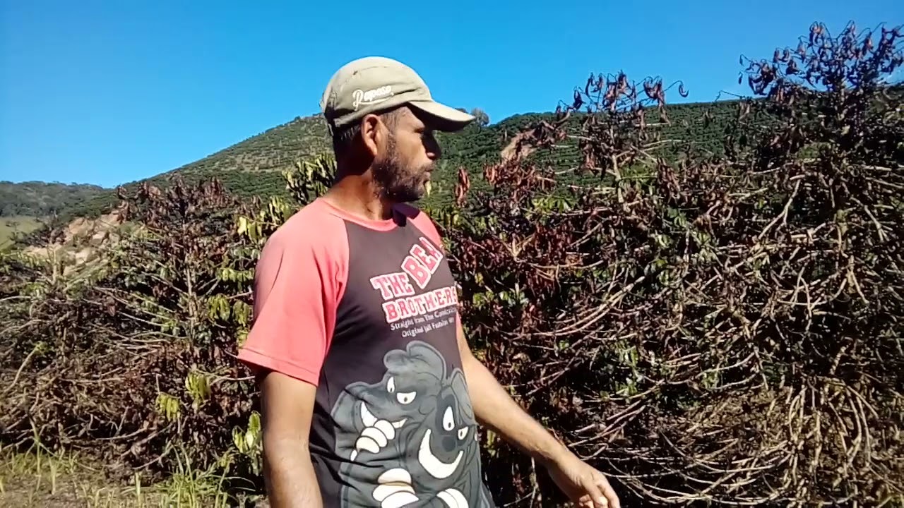 olha o q a palha do café fez