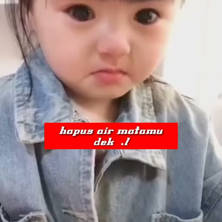 STORY WA KUTIMANG ADIKKU SAYANG VERSI BAYI LUCU
