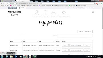 Link your Agnes & Dora party site to a domain