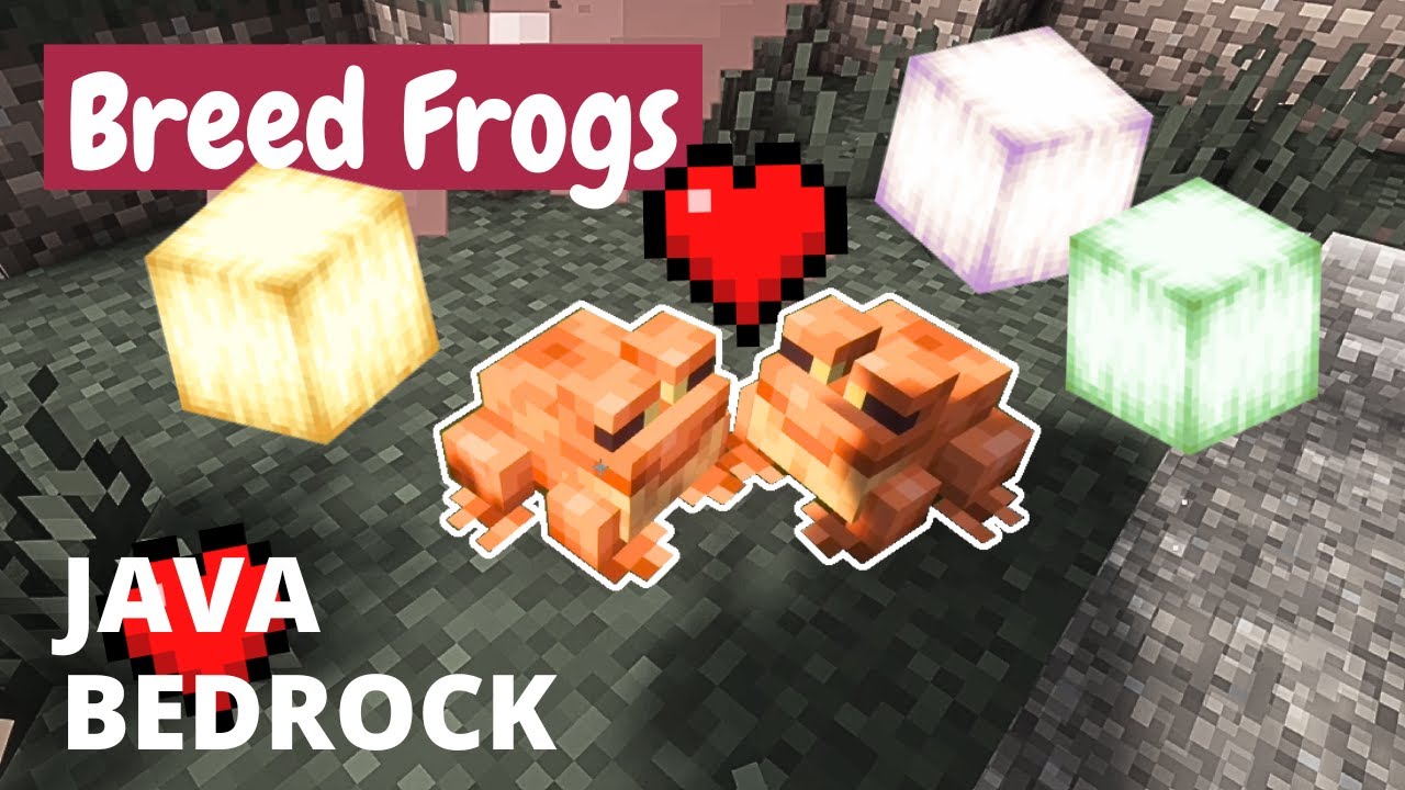 How to Breed Frogs (ALL VARIANTS) Minecraft (Java and Bedrock)