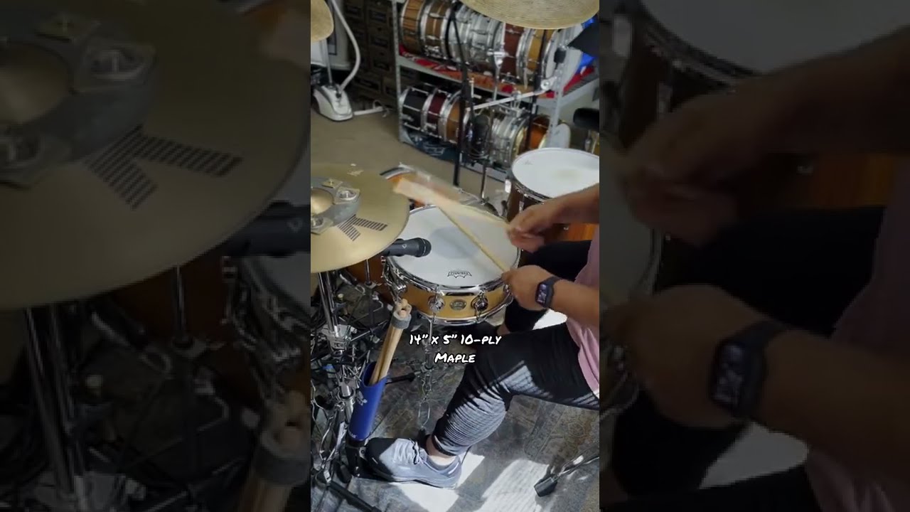 The Ultimate Maple Snare Comparison Shorts Drums Drumheads Tuning Remo