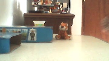 Finding small tiger part #5.