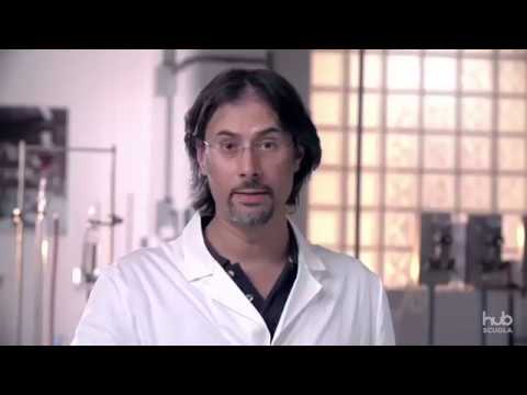 Video: Perché la cipolla viene utilizzata per l'estrazione del DNA?