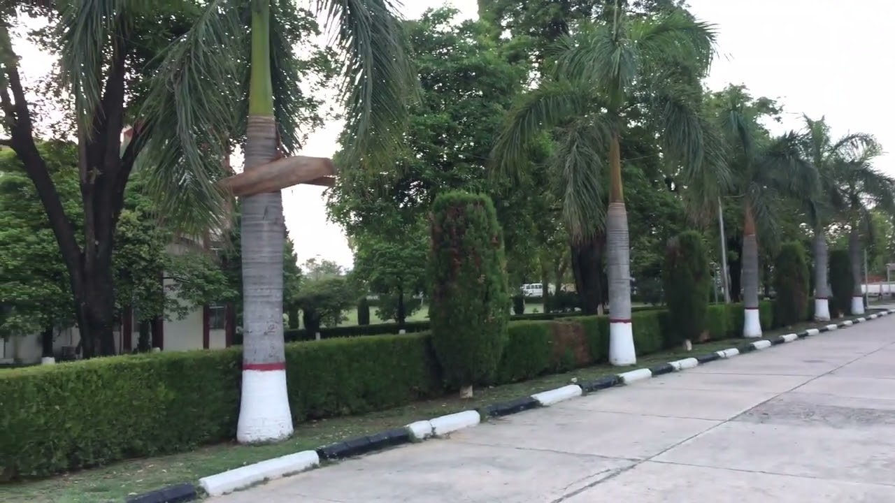 Life in PIEAS university islamabad