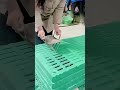 plastic mold cutting tricks #shorts