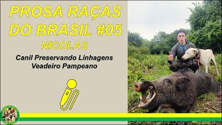 Prosa Raças do Brasil 05: Nicolas e o Veadeiro Pampeano (Canil Preservando Linhagens)
