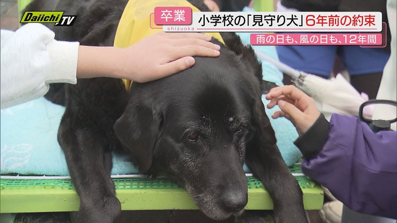 【見守り犬】校門で児童に愛情注ぎ足掛け12年の老犬…子どもらとの“約束”果たす（静岡）