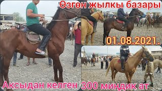 Өзгөн жылкы базары. 01.08.2021. Жылкынын жакшысы кымбат.