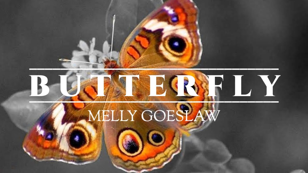 Butterfly Melly Goeslaw YouTube