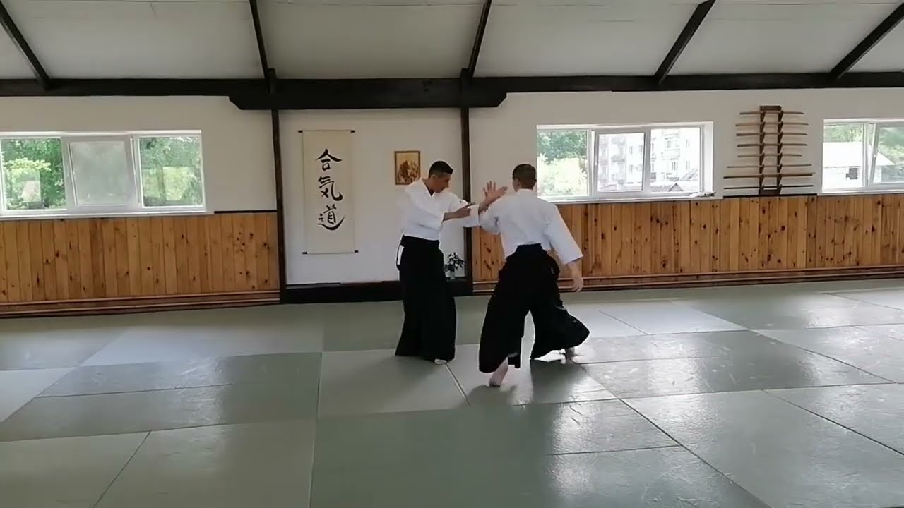 D.Montenegro, Aikido seminar 2023, Velikie Luki / 1(2)