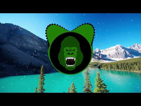 Lauv - Reforget
