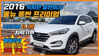 천만원대SUV 작지만알찬 올뉴투싼-차박캠핑다목적