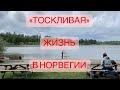 ВЛОГ: СКУЧНАЯ НОРВЕЖСКАЯ ЖИЗНЬ