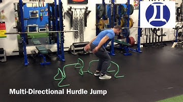 Multi Directional Hurdle Jump