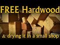 Free Wood & How to Dry It for Woodworking in a Small Shop