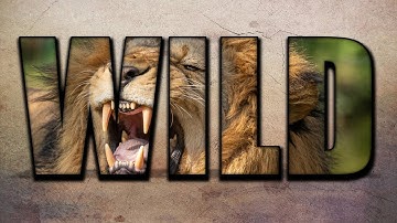 Cool Photo Text Editing Tricks | Image in Text Photo Editing | Pixel Lab Tutorial