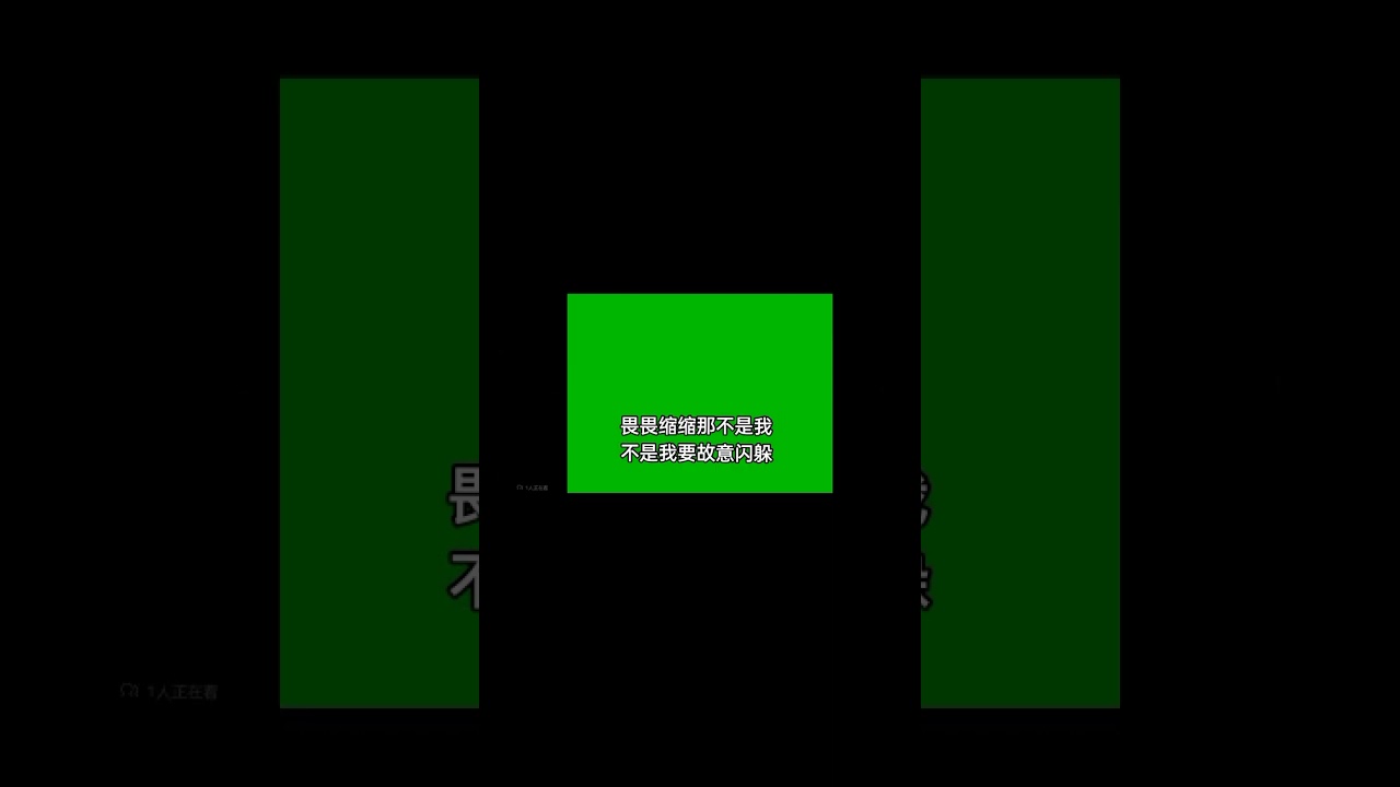 Huang Jia Jia 黄佳佳 -不要再来伤害我 Bu Yao Zai Lai Shang Hai Wo (后期剪辑/金碟豹)