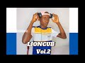 Dj chaiko  lioncub vol2 mix bouyon 2024