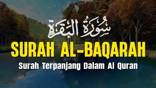 Surah Al Baqarah سورة البقرة  Dengan Suara Indah Membuat Hati Tenang