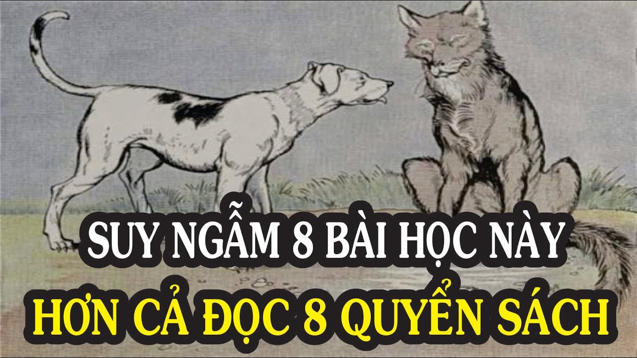 Những bài học hay | 8 Bài học thấm thía về cuộc sống khiến bạn chỉ ước GIÁ MÀ MÌNH BIẾT SỚM HƠN | NGẪM PLUS