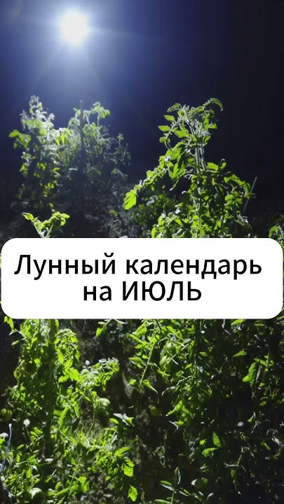 Лунный календарь дачника на июль #дача #огород #лунный_календарь # ...
