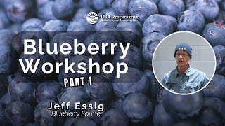 Blueberry Workshop Recap – January 25, 2025!