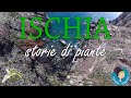 Ischia: storie di piante