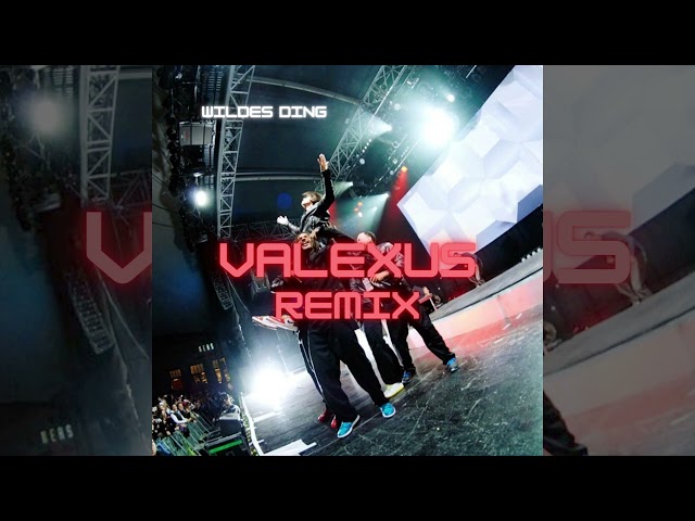 Culcha Candela - Wildes Ding (Valexus Remix)