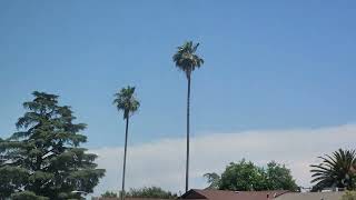 Distant Sierra T-Storms, Sunny & South Winds 1:30pm May 30, 2023