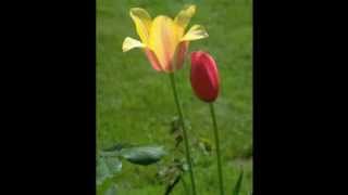 Modhumita Go Tumi Ashbe Kobe Hashbe - Ferdousy Rahman.