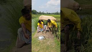 Two fat cows came running and overturned the pot.366#funny