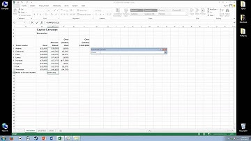 Excel 2013 - Level 2 - Chapter 3 - Dev EX03 D01