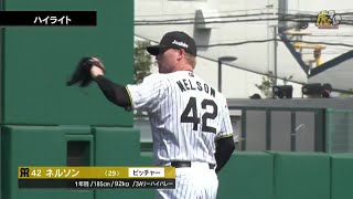 阪神 2点セット mqdefault.jpg