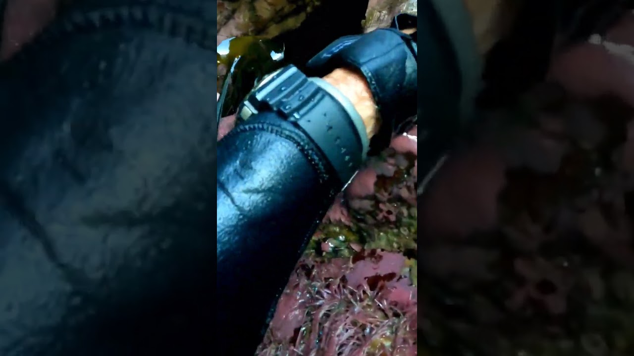 found a massive hidden sea cave 