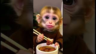 😂 Baby Monkey Can’t Stop Eating Meat! So Funny & Cute! #babymonkey #cutemonkey