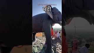 #kanifnath#machindranath#badebaba#gurugorakhnath#navnath#yt#whatsappstatus#youtubeshorts#viralshort