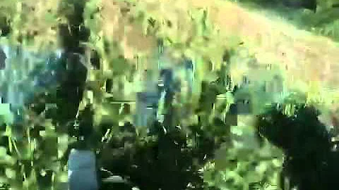 Postma farms corn silage 2010