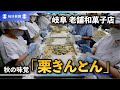 秋の味覚「栗きんとん」作り　岐阜の老舗和菓子店