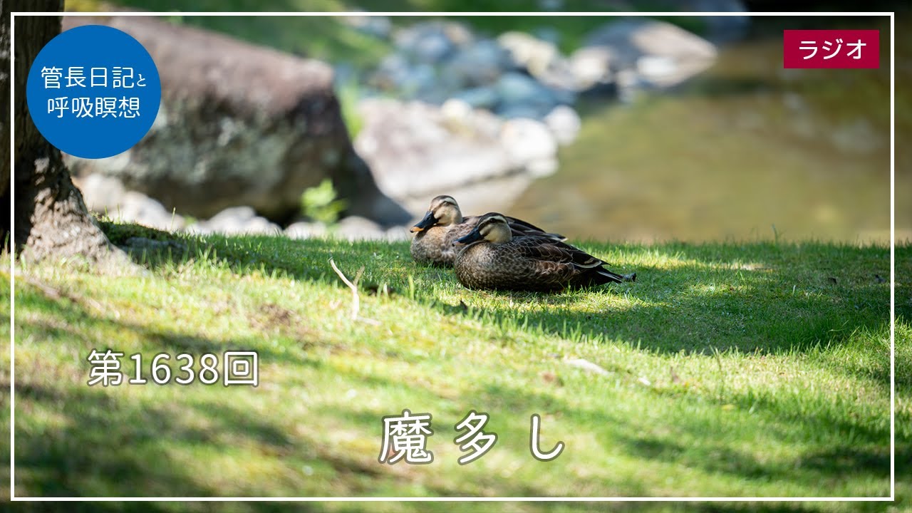 自然法と世界法 田中先生還暦記念 自然法と世界法 : 田中先生還暦記念(尾高朝雄 編) / 古書