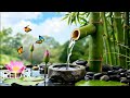 Relaxing Music 🌿Bamboo Water Sounds for Deep Sleep Meditation, Stress Relief at Night, Nature Sounds