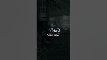 سورة الكهف #تلاوة_خاشعة #تلاوةالقرآن #قران_الكريم