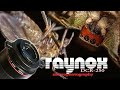 Shooting with the Raynox DCR-250 Super Macro Snap-On Lens on the Canon M50