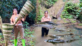 Discovered many large fish in the stream  Girl weaving bamboo cages to catch fish | Pham Tâm