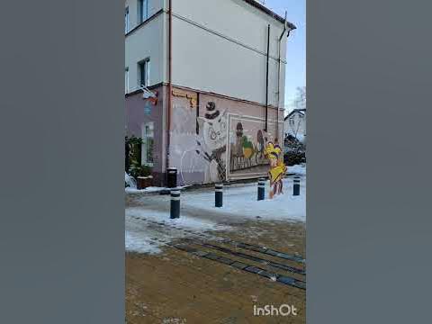 #shorts Зеленоградск. Коты и Новый год. - YouTube