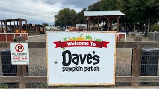 " Dave's Pumpkin Patch " Nov 2025