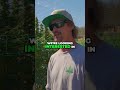 Discovering the Amazing Field of Dreams Cannabis Farm 🌳