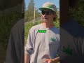 Discovering the Amazing Field of Dreams Cannabis Farm 🌳