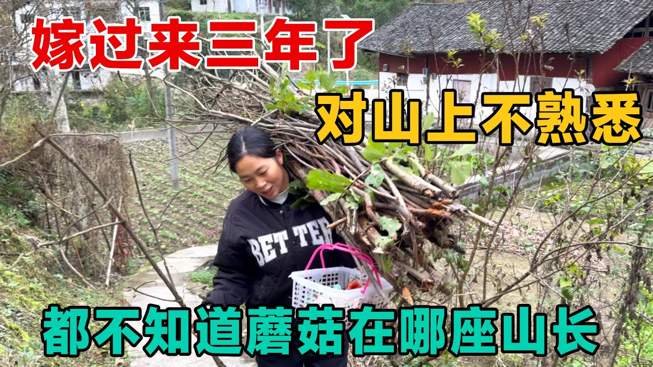 嫁过来三年了，第一次独自去山里找蘑菇，差点空手而归