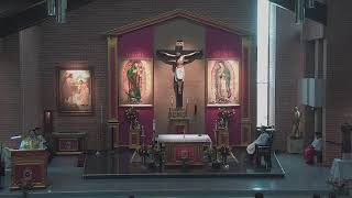 Misa Dominical - XI Domingo Ordinario - 14 de junio de 2026