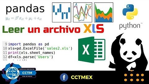 Leer un archivo xls| Pandas  | Python  | ¡Muy Básico!